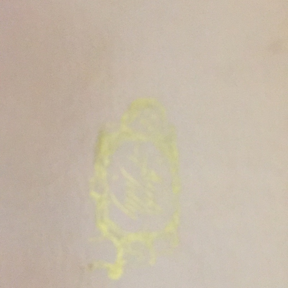 Vintage Kirks Folly mini purse